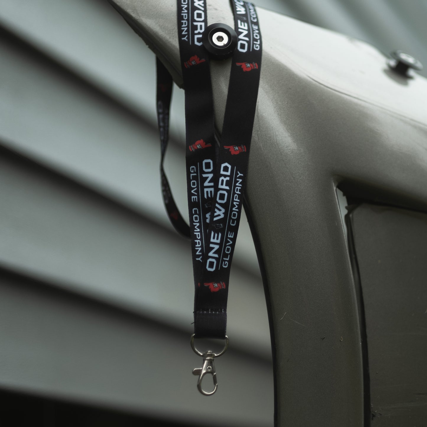 Lanyard